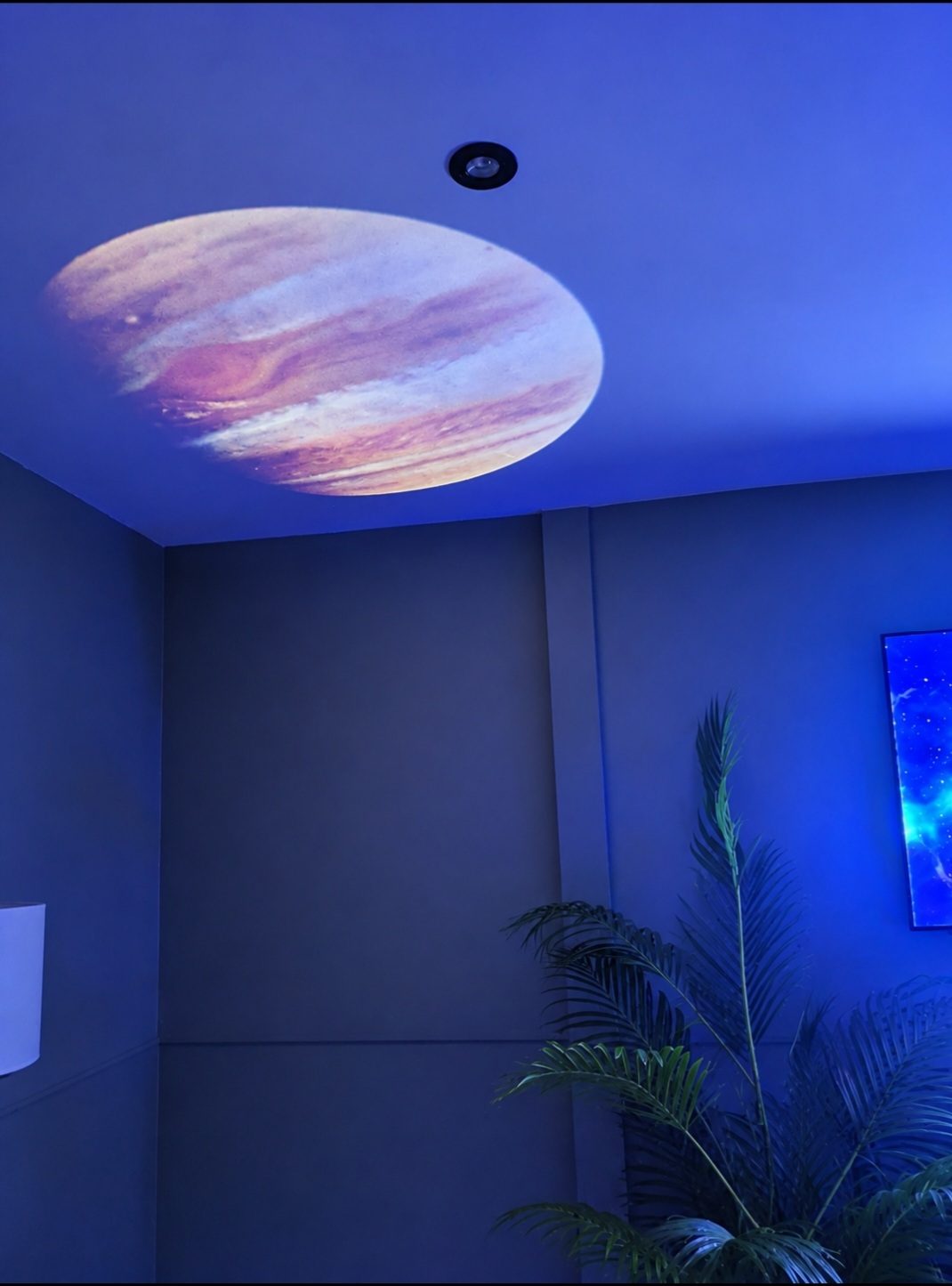 Celestial Experience  at Soulara Healing